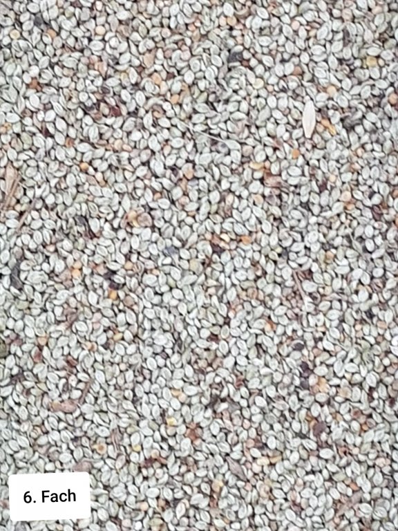 Getreidereinigung des Typs Progra ISM-5 CSC Getreidereiniger, Neumaschine in Kriebitzsch (Bild 10)