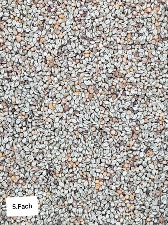 Getreidereinigung des Typs Progra ISM-5 CSC Getreidereiniger, Neumaschine in Kriebitzsch (Bild 8)