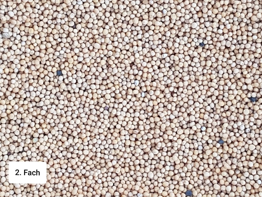 Getreidereinigung des Typs Progra ISM-5 CSC Getreidereiniger, Neumaschine in Kriebitzsch (Bild 5)