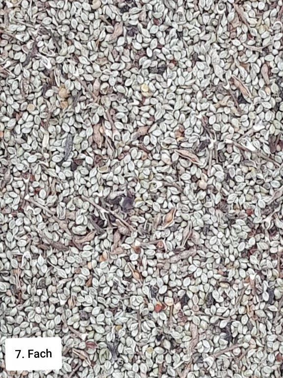 Getreidereinigung des Typs Progra ISM-5 CSC Getreidereiniger, Neumaschine in Kriebitzsch (Bild 7)