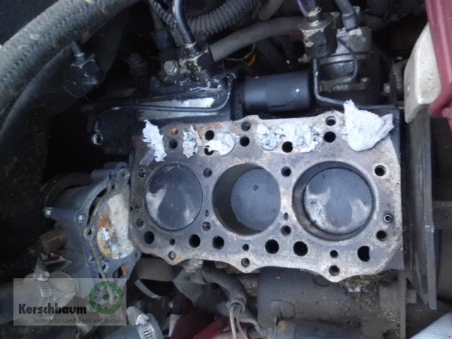 Spindelmäher des Typs Toro Reelmaster 216 D, Gebrauchtmaschine in Adelsdorf (Bild 11)