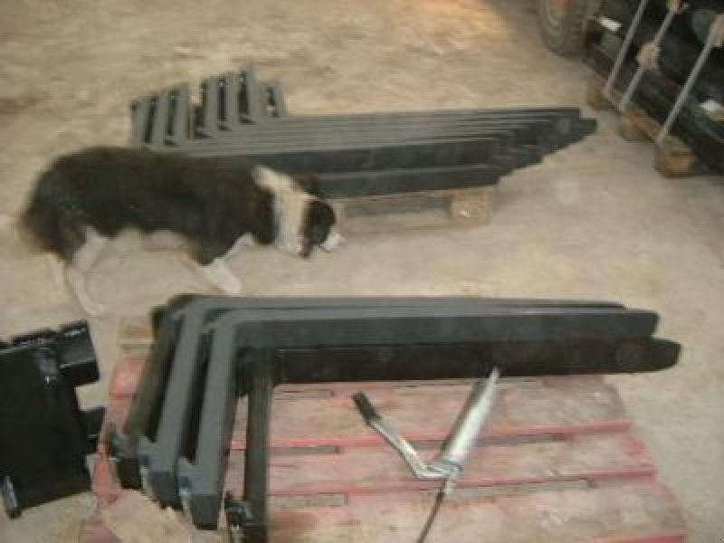 Palettengabel des Typs Sonstige Palettengabel, Neumaschine in Steinau  (Bild 1)