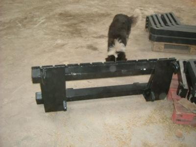 Palettengabel des Typs Sonstige Palettengabel, Neumaschine in Steinau  (Bild 2)