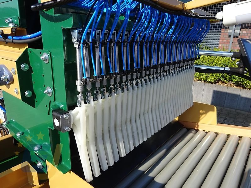 Lagertechnik des Typs EURO-Jabelmann Optischer Sortierer 120/85 OS – Karevo Duo85 System, Neumaschine in Itterbeck (Bild 9)