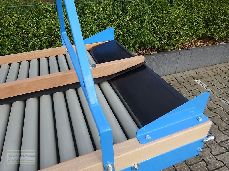 Lagertechnik des Typs EURO-Jabelmann Rollenverlesetisch V 300/85, Stehmodell, NEU, Neumaschine in Itterbeck (Bild 13)