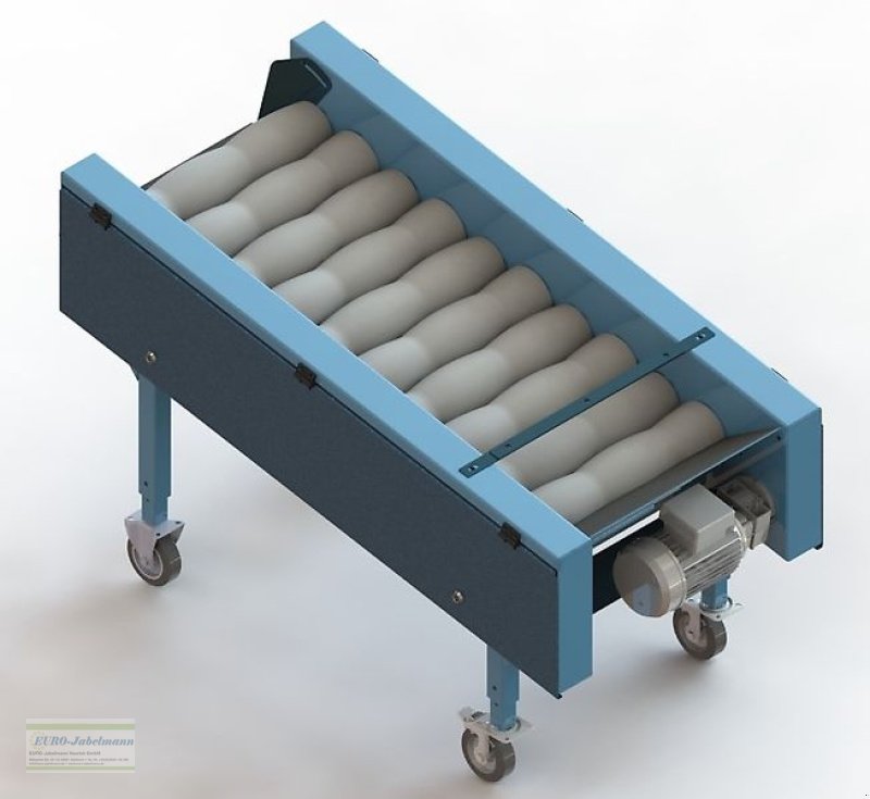 Lagertechnik des Typs EURO-Jabelmann Bürstenmaschine, V 5510; NEU, Neumaschine in Itterbeck (Bild 7)