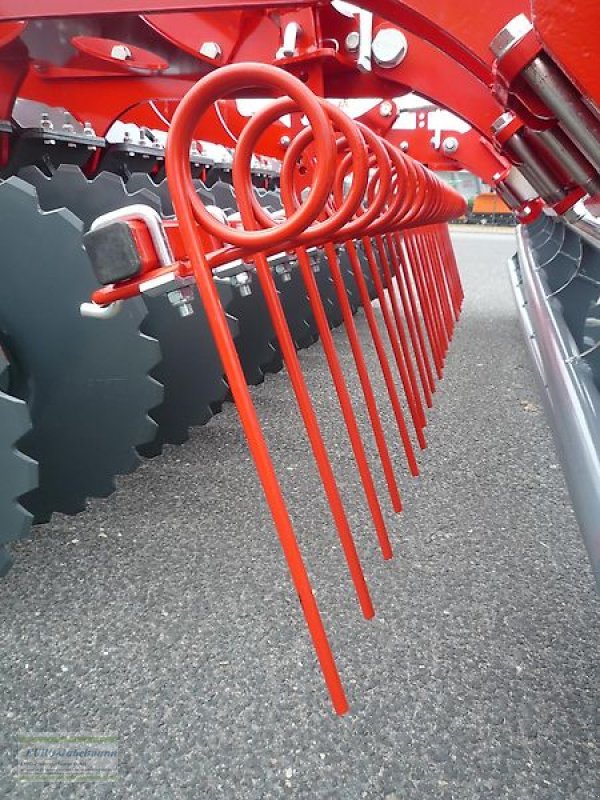 Kurzscheibenegge des Typs Unia Scheibenegge Ares XL 3,00 m, Ø560mm Scheiben, Federstriegel, Ringwalze Ø600 mm, Gebrauchtmaschine in Itterbeck (Bild 3)