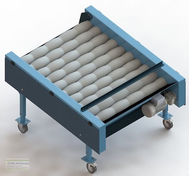 Lagertechnik des Typs EURO-Jabelmann Bürstenmaschinen V 11010; NEU, Neumaschine in Itterbeck (Bild 7)