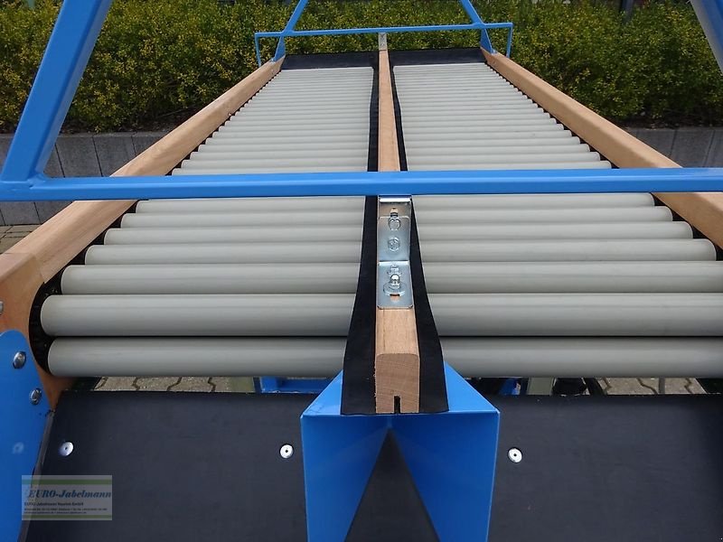 Lagertechnik des Typs EURO-Jabelmann Rollenverlesetisch V 200/85, Stehmodell, NEU, Neumaschine in Itterbeck (Bild 15)