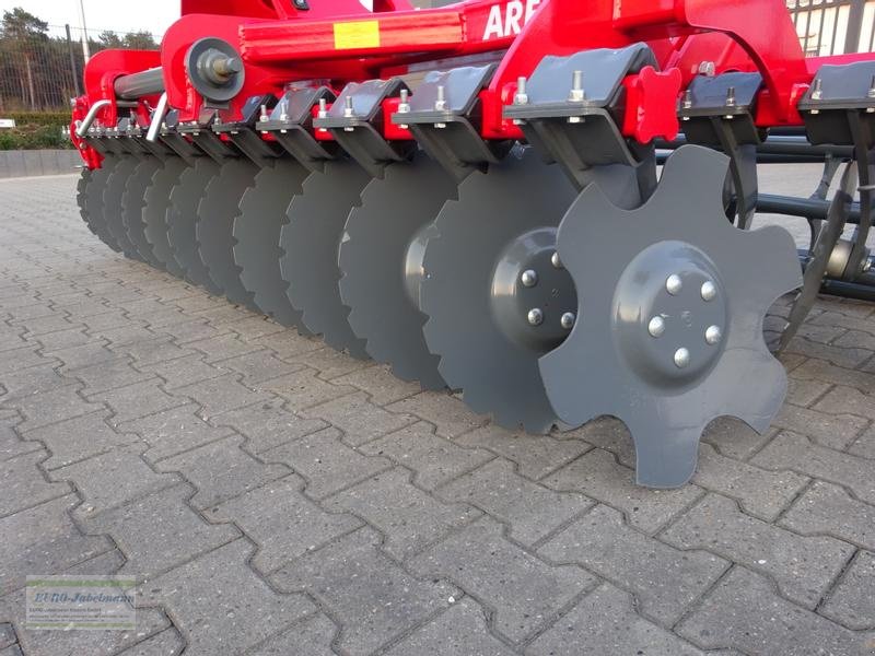 Kurzscheibenegge des Typs Unia Kurzscheibenegge Ares L 3,00 m, 510 mm Scheiben, Rohrstabwalze 500 mm, NEU, Neumaschine in Itterbeck (Bild 11)