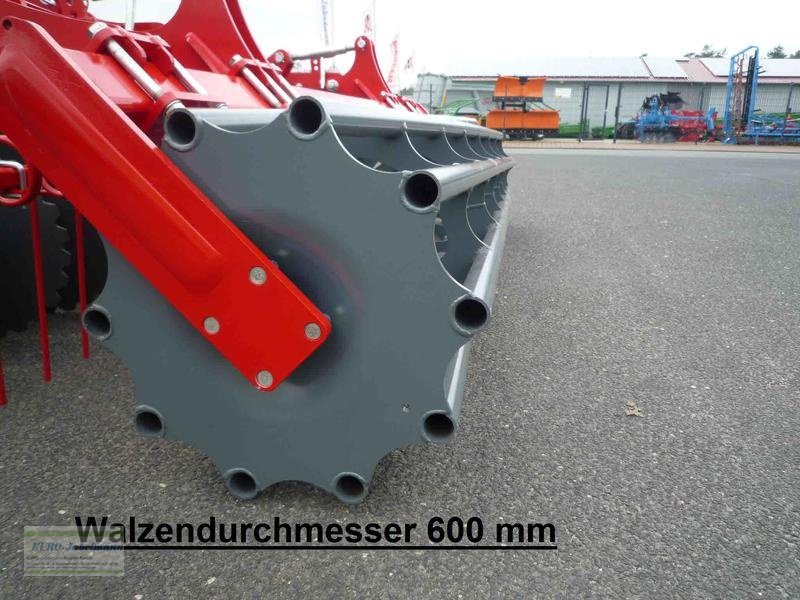 Kurzscheibenegge des Typs Unia Ab Lager: UNIA Kurzscheibenegge ARES XL, 6,00 m, 560 mm Scheiben, Rohrstabwalze 600 mm. NEU, Gebrauchtmaschine in Itterbeck (Bild 8)