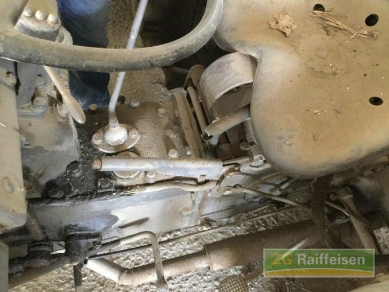 Oldtimer-Traktor des Typs Massey Ferguson TED, Gebrauchtmaschine in Salem-Neufrach (Bild 3)