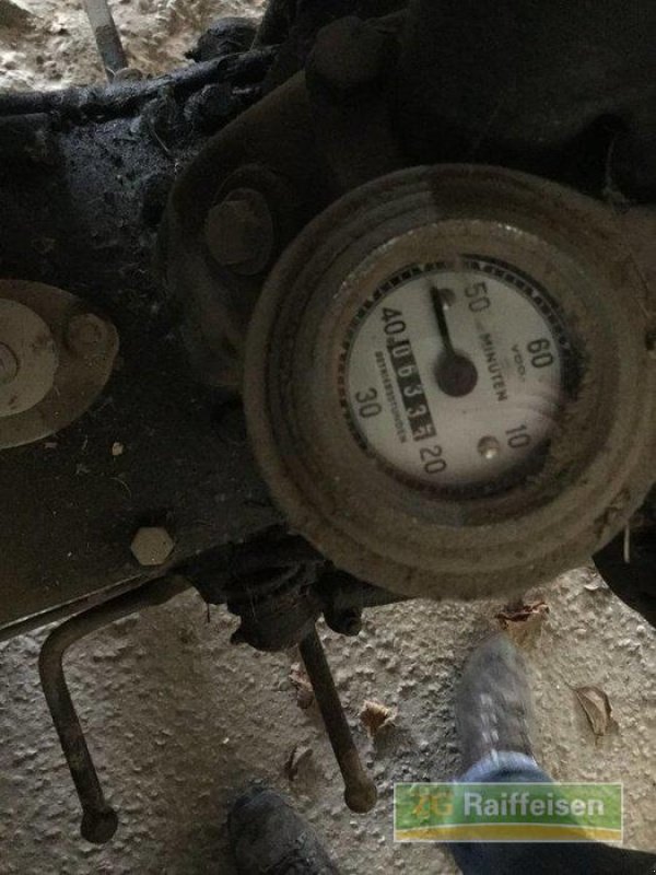 Oldtimer-Traktor des Typs Massey Ferguson TED, Gebrauchtmaschine in Salem-Neufrach (Bild 7)