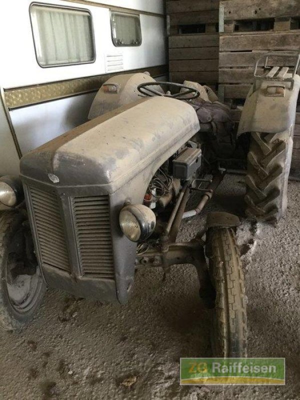Oldtimer-Traktor des Typs Massey Ferguson TED, Gebrauchtmaschine in Salem-Neufrach (Bild 1)