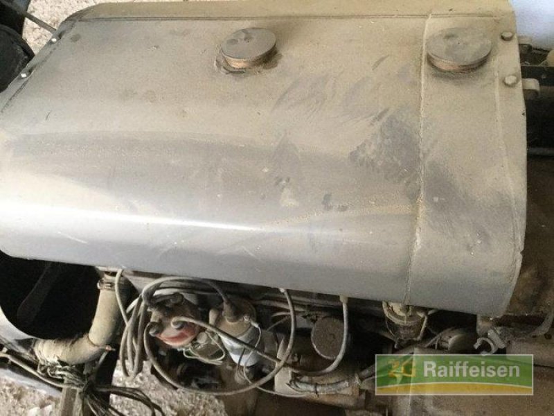 Oldtimer-Traktor des Typs Massey Ferguson TED, Gebrauchtmaschine in Salem-Neufrach (Bild 8)