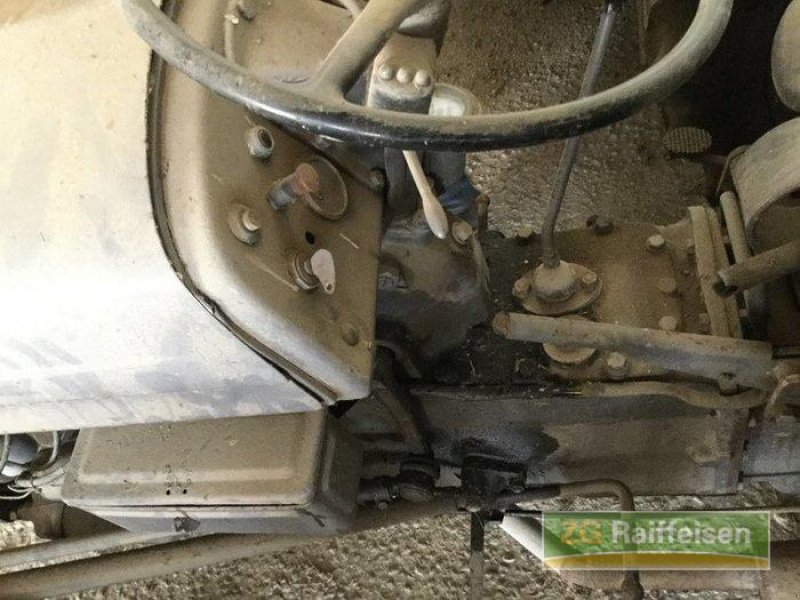 Oldtimer-Traktor des Typs Massey Ferguson TED, Gebrauchtmaschine in Salem-Neufrach (Bild 5)