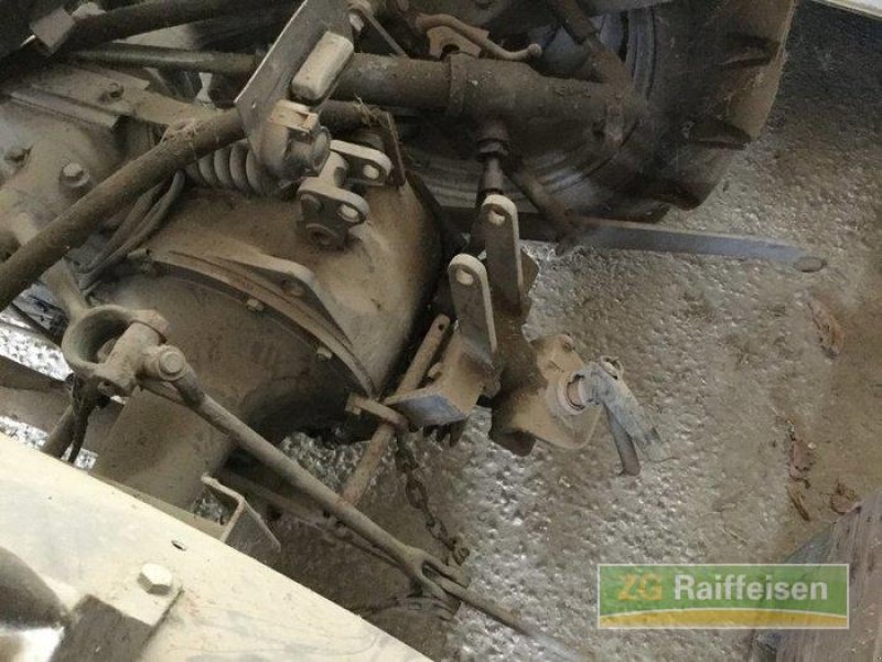 Oldtimer-Traktor des Typs Massey Ferguson TED, Gebrauchtmaschine in Salem-Neufrach (Bild 4)