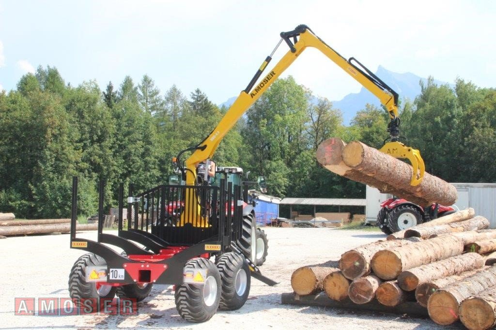 Rückewagen & Rückeanhänger des Typs A. Moser MHL-9 Lenkachse mit MKD-6,9, Neumaschine in Altmünster (Bild 9)