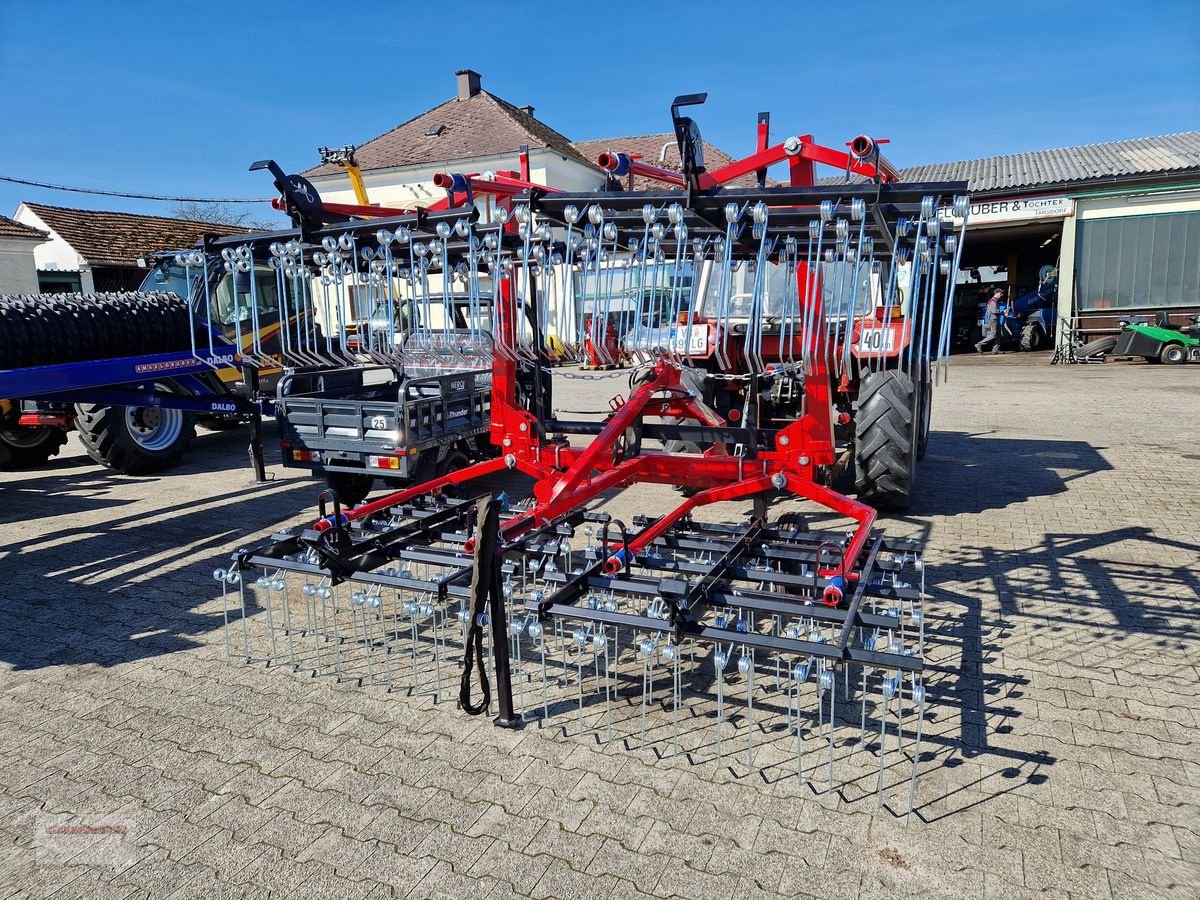 Striegel des Typs Sonstige Dominator Striegel, Gebrauchtmaschine in Tarsdorf (Bild 7)