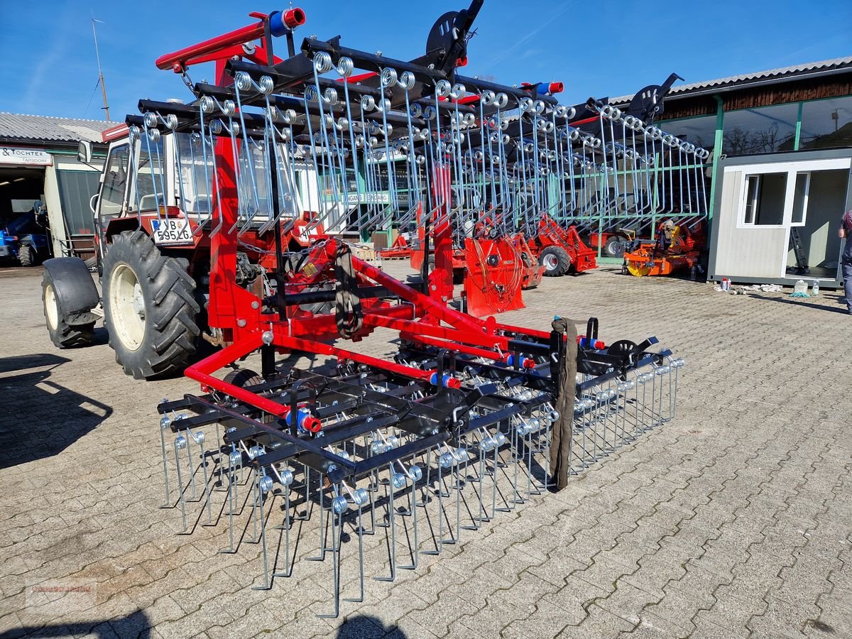 Striegel des Typs Sonstige Dominator Striegel, Gebrauchtmaschine in Tarsdorf (Bild 5)