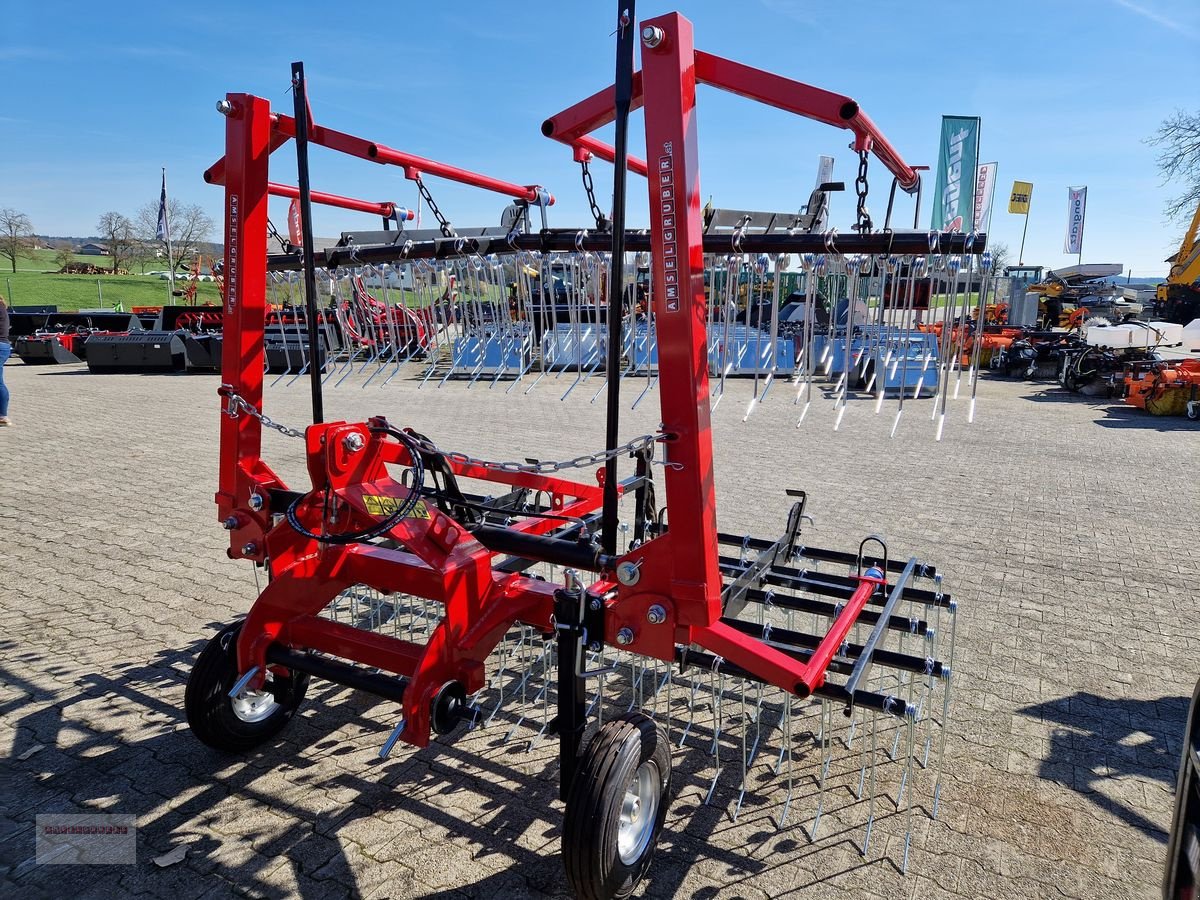 Striegel des Typs Sonstige Dominator Striegel, Gebrauchtmaschine in Tarsdorf (Bild 3)