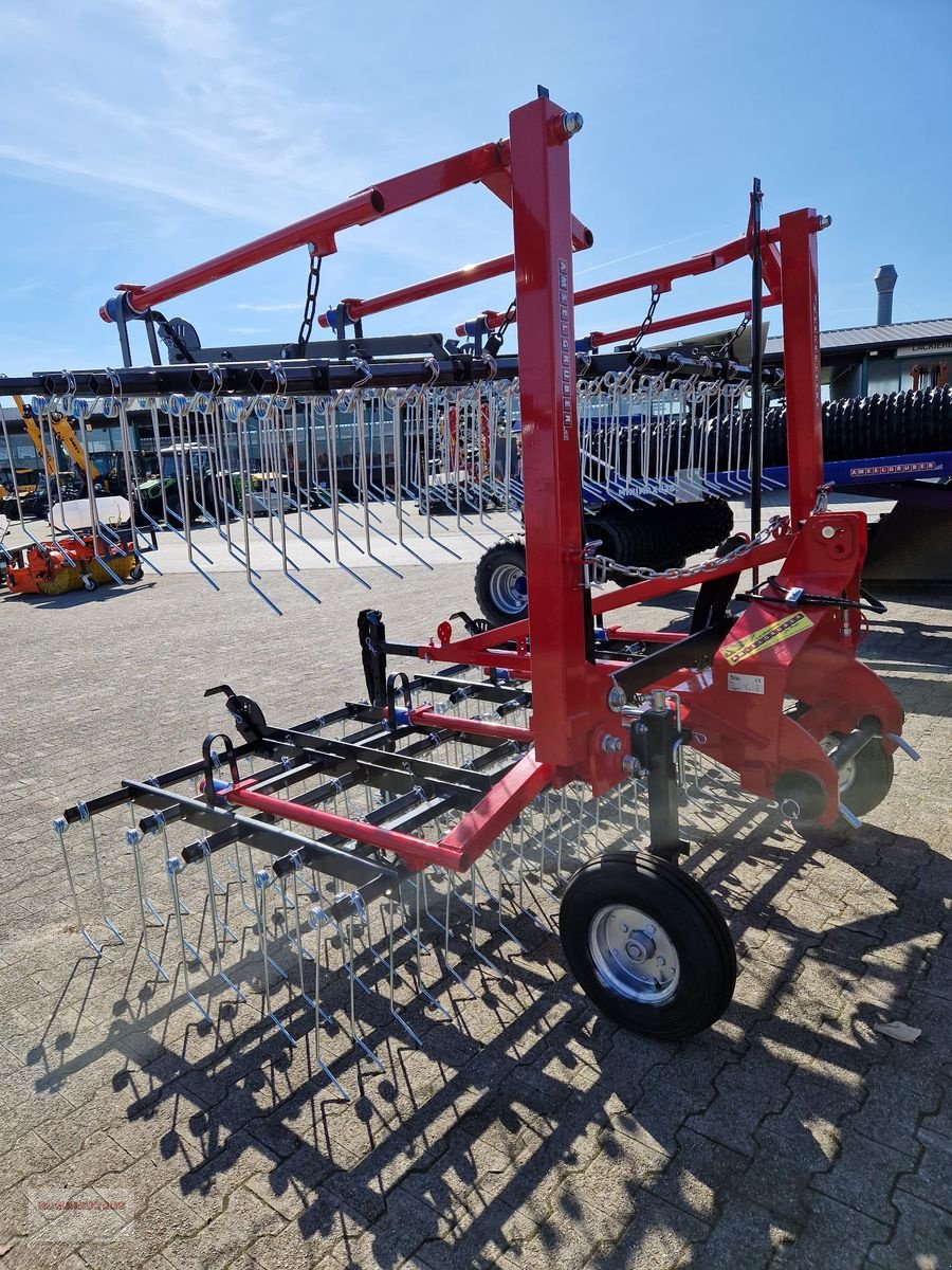 Striegel des Typs Sonstige Dominator Striegel, Gebrauchtmaschine in Tarsdorf (Bild 9)