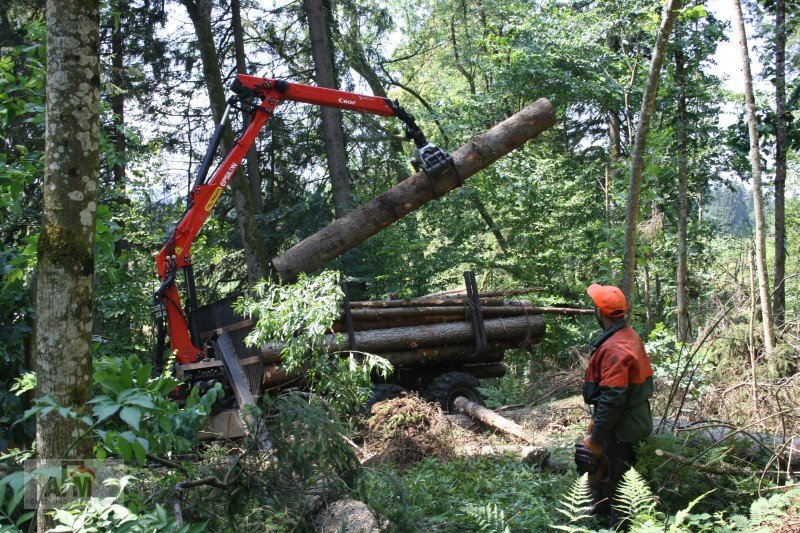 Rückewagen & Rückeanhänger des Typs AFM RW16NAF, Neumaschine in Bodenwöhr/ Taxöldern (Bild 7)
