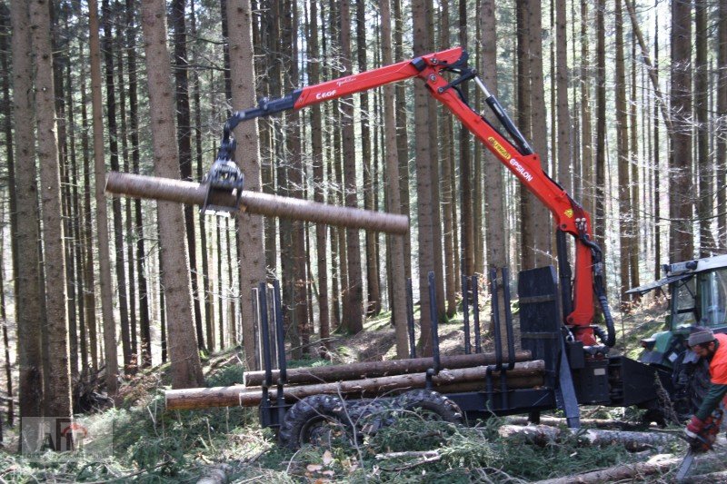 Rückewagen & Rückeanhänger des Typs AFM RW16NAF, Neumaschine in Bodenwöhr/ Taxöldern (Bild 13)