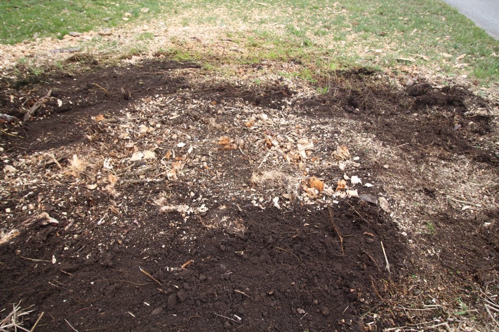 Sonstiges Baggerzubehör des Typs Sonstige Wurzelbiber MS 10 Wurzelschäler Wurzelschaber Bagger Minibagger, Gebrauchtmaschine in Petting (Bild 20)