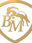 BM  Horse Team